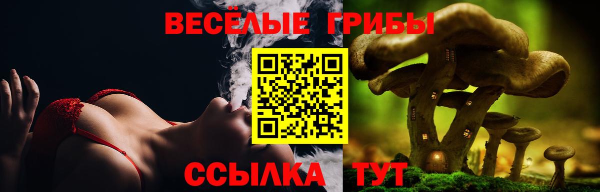 Петрозаводск  Галлюциногенные грибы мухоморы  Вход с VPN 